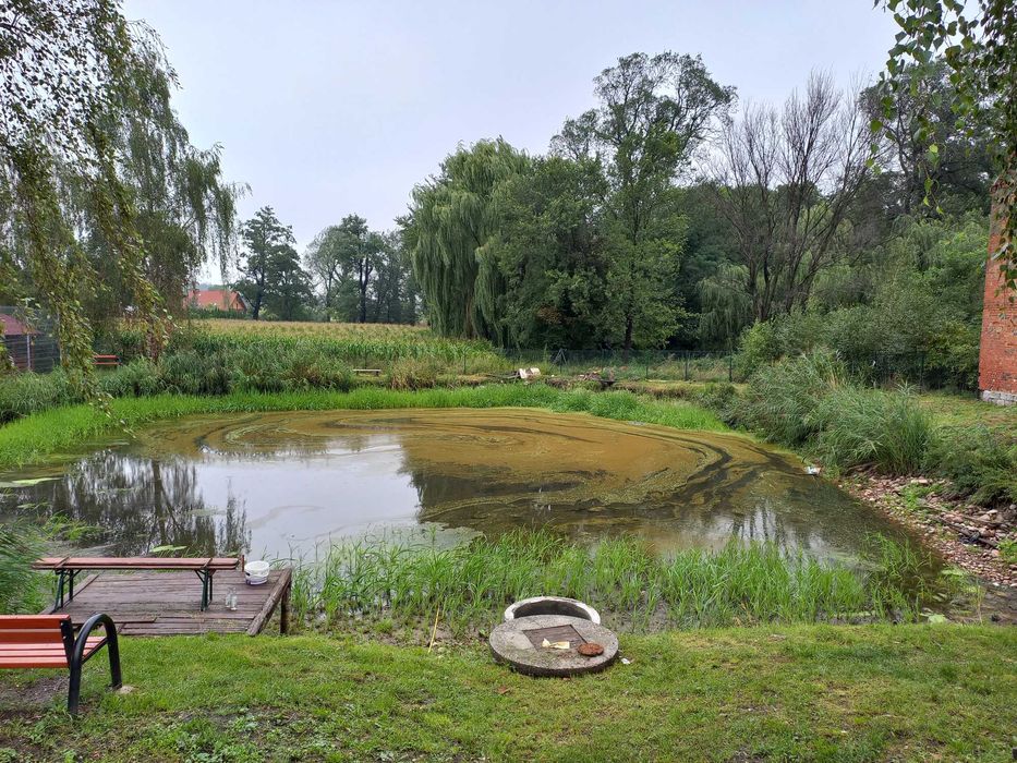 Міні земснаряд для очистки озера ,річок ,копанок.: 90 000 грн. - Інше ...