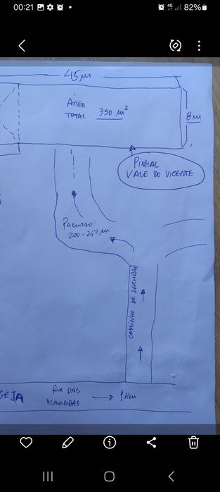 Terreno eucaliptal
