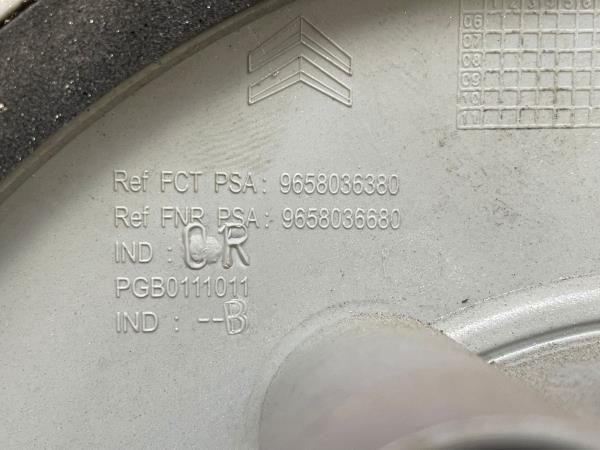 Tampo de jante CITROËN Jumpy Furgão