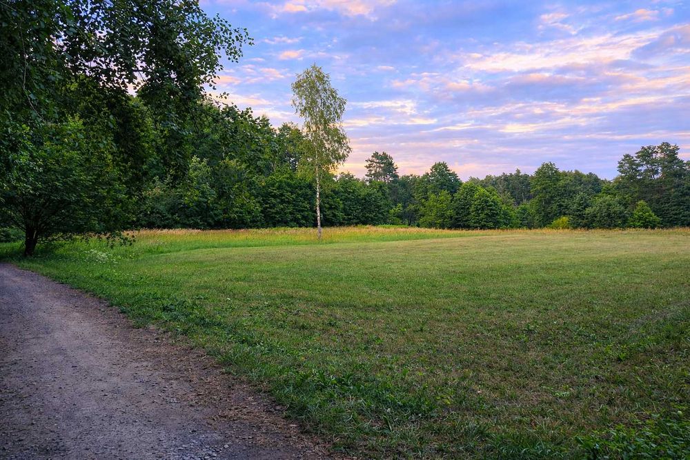 Działka budowlana 3300 m² przy zalewie Szum – Roztocze, lasy, cisza i natura Sigła na ryby – pohled 6