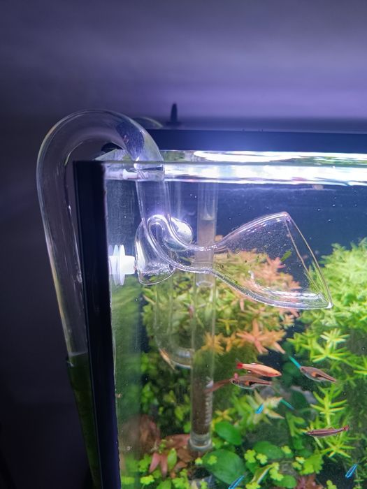 Aquário 160 litros como novo sem um único risco tem um ano, completo.