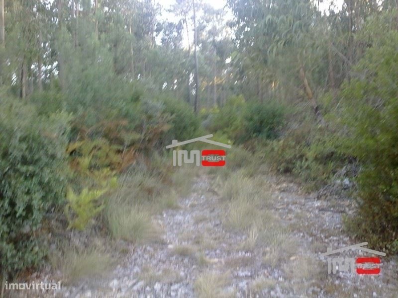 Plot of Land