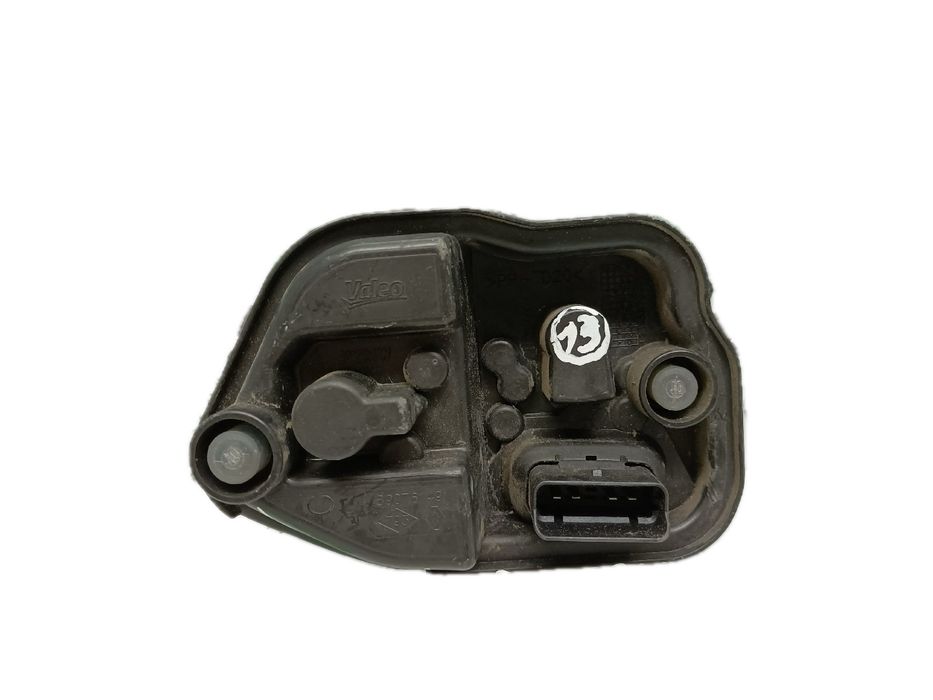 Suporte lâmpada esquerdo RENAULT Megane III (BZ0_)