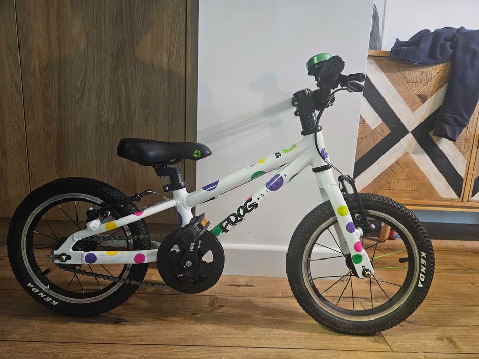 Rower Frog 14" Wrocław