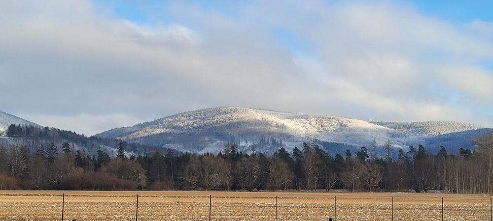 Domki w górach na wynajem