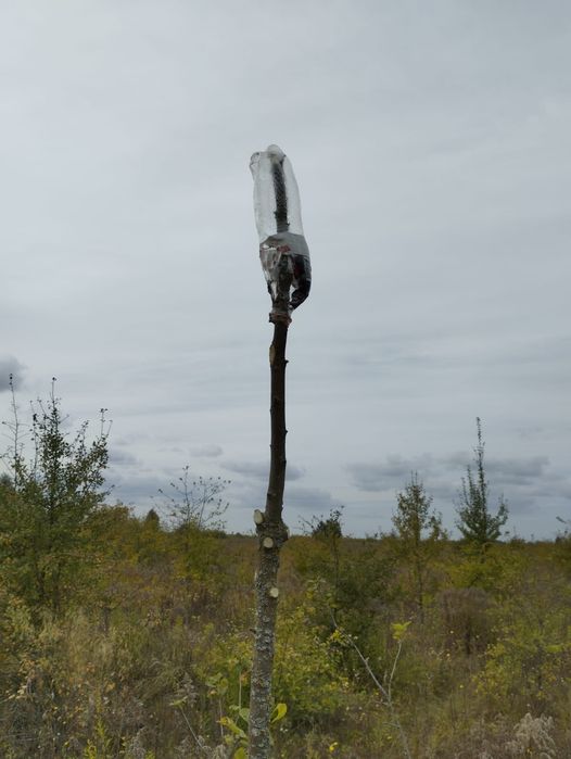 Ділянка 12с садівництво Лукашівка