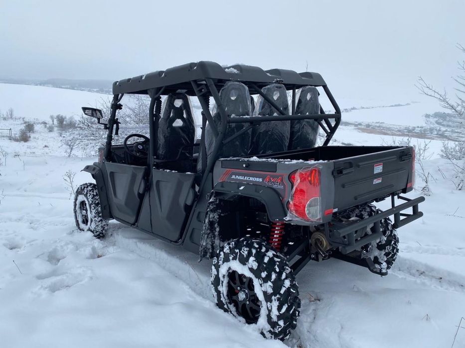 Баггі Odes 1000 баги