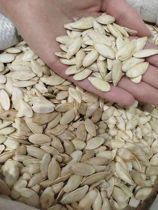 Гарбузове насіння Турка