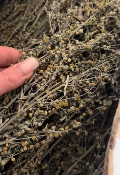 Скрутки полыни для окуривания помещения, декора или ароматизации