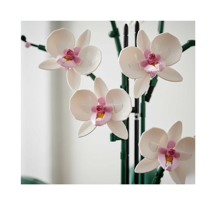 Klocki LEGO Botanicals Kwiaty Orchidea 10311 Okazja!!!