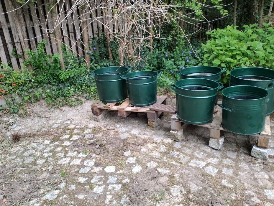 Baniaki 5 sztuk pomalowane