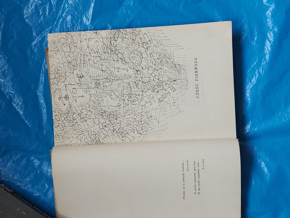 Książka Kwiaty Polskie 1967rok