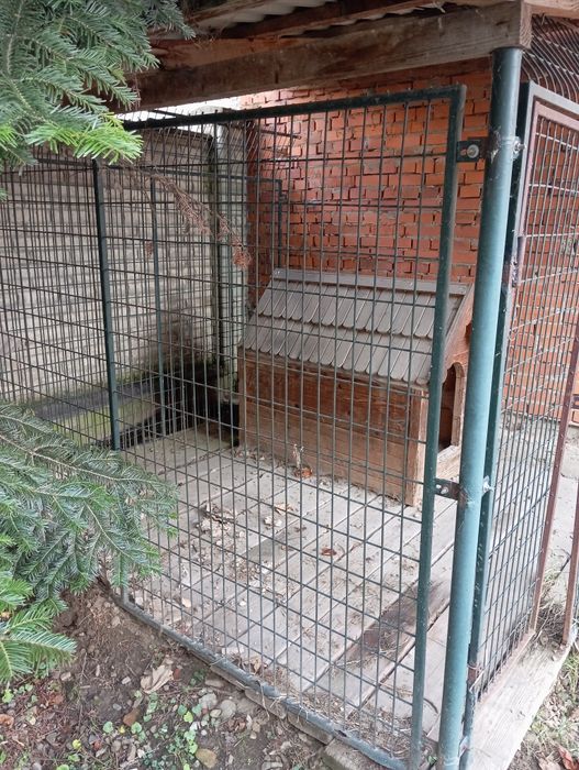 Вольєр для собаки разом з будою як на фото.