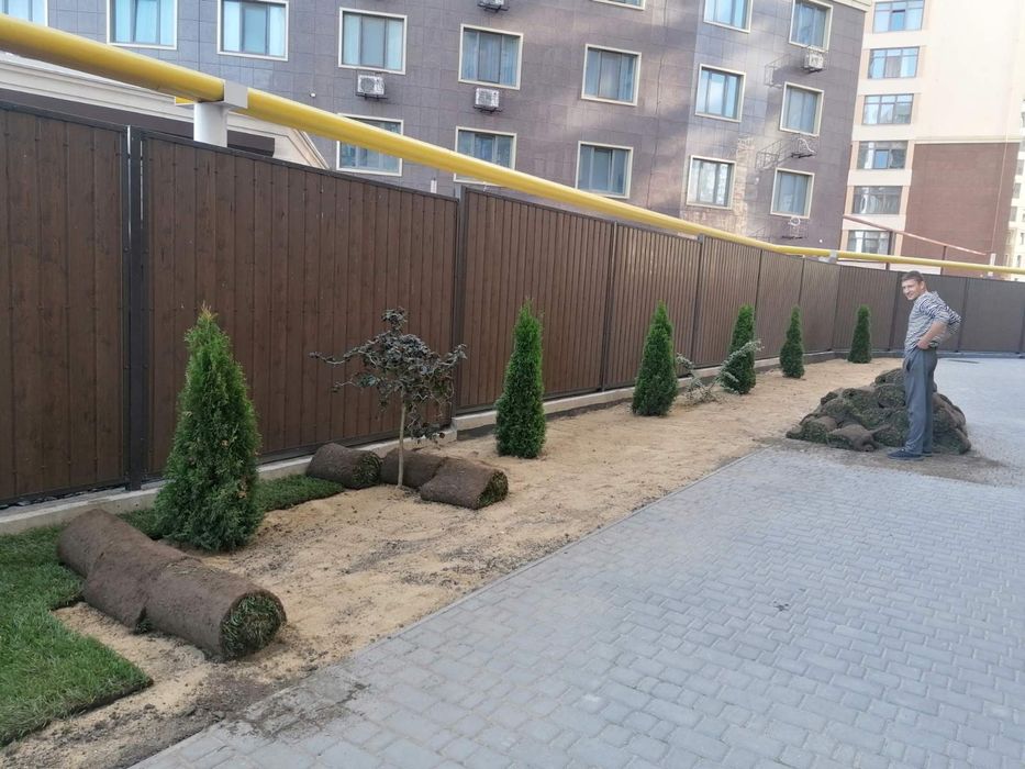 Рулонный газон, укладка рулонного газона