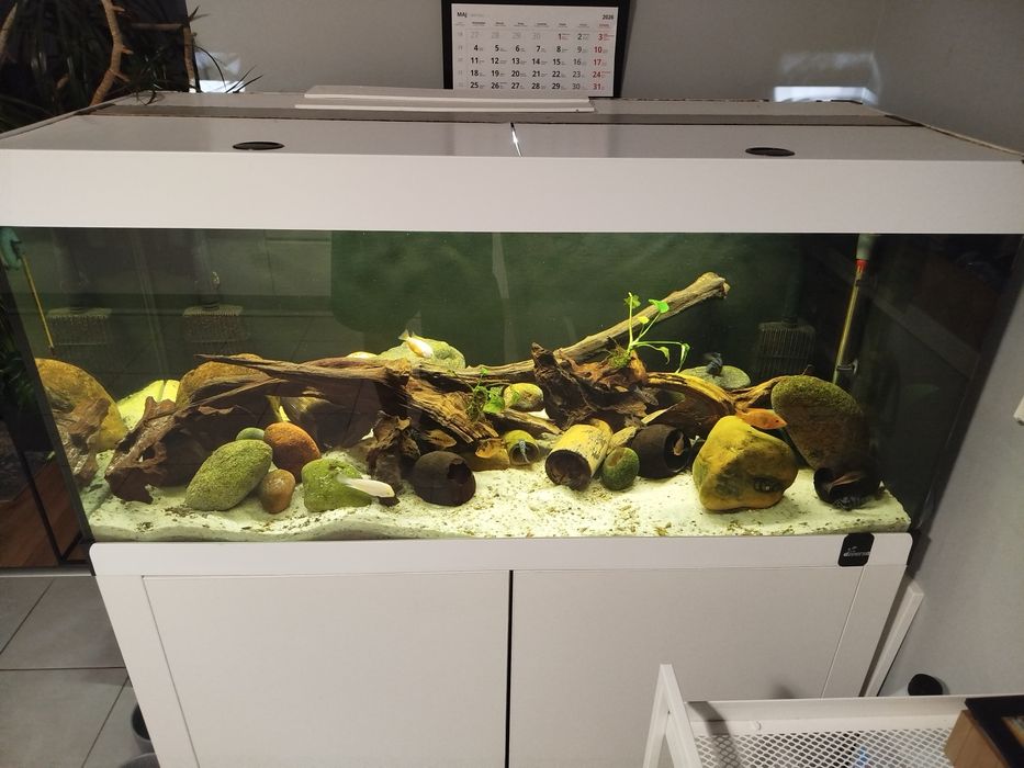 Akwarium 300l Diverse