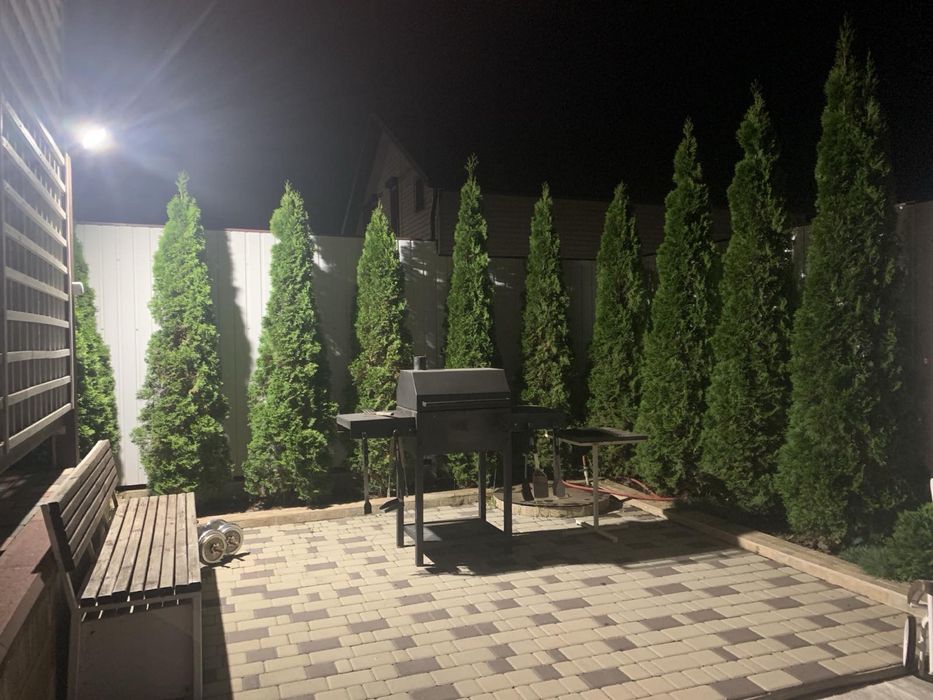 Дом- дача в первой линии моря. Грибовка.