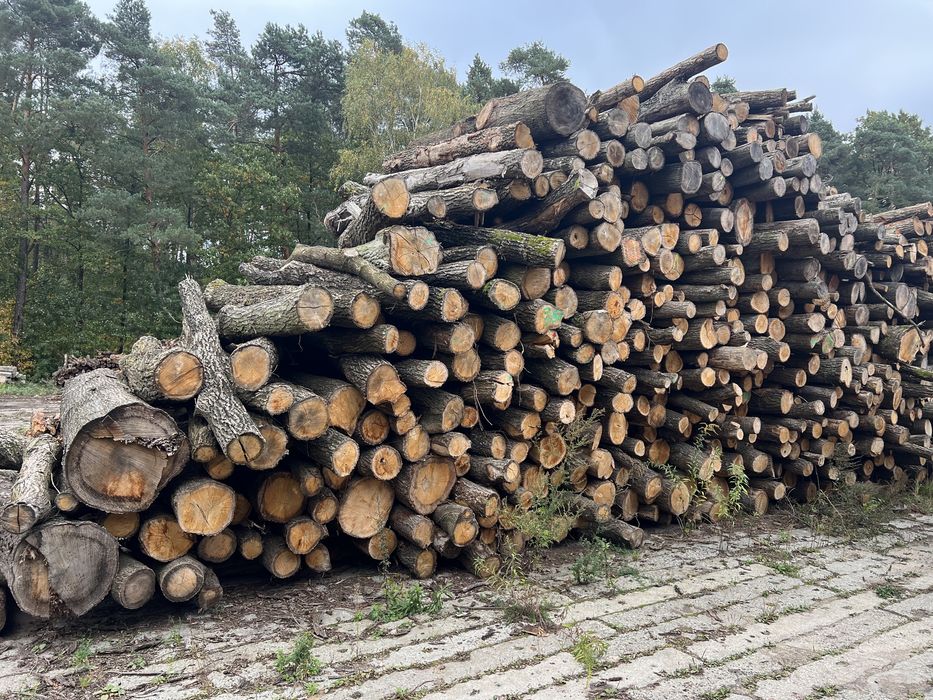 Drewno Dębowe. Drewno opałowe/kominkowe.