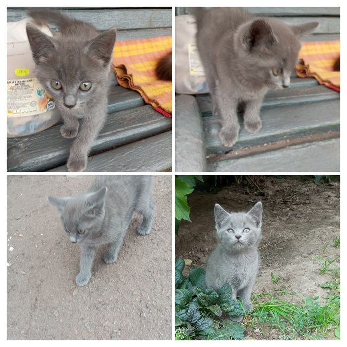 Розумники маленькі для радості на душі