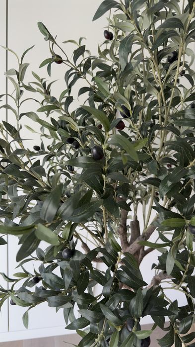 Linda oliveira realista