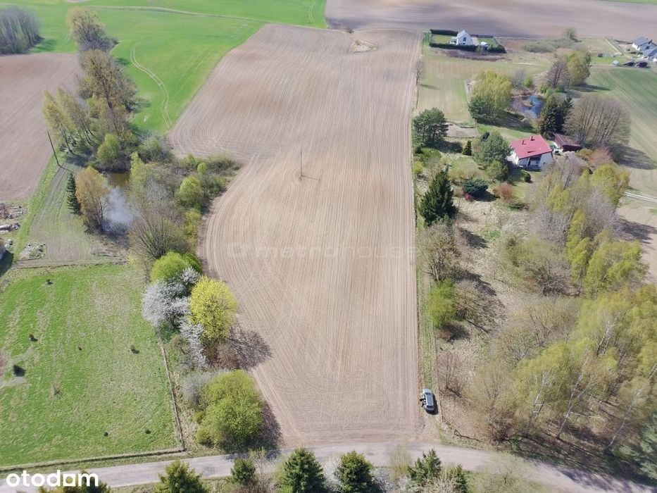 Marcelin: Teren 3,25 ha pod osiedle  MPZP i Media