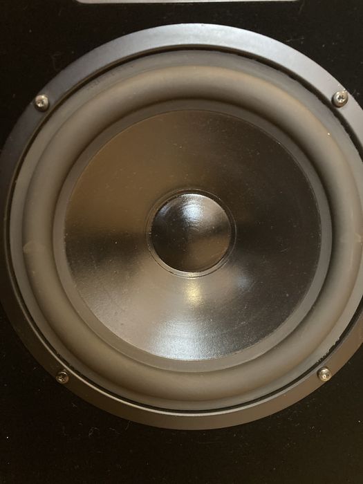 Колонки Arcus TM 69