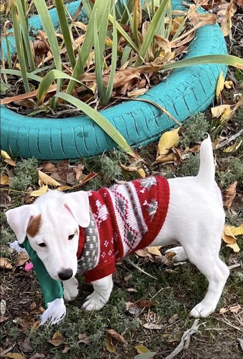 Красивенная малышка ищет маму