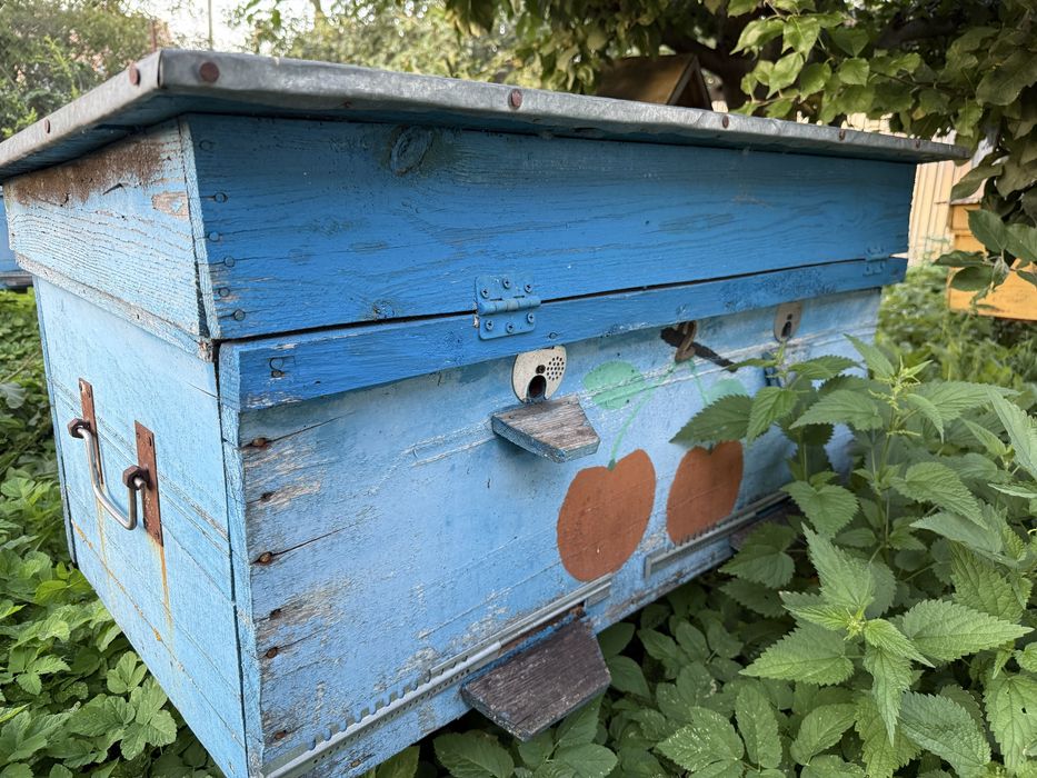 Вулики вживані в доброму стані