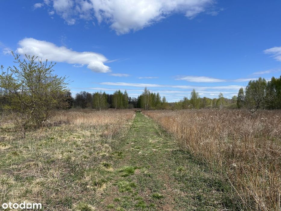 Działka rolna 4239 m² w okolicy Kampinosu - Widok 2