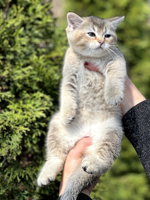 ХШикарний  плюшевий хлопчик