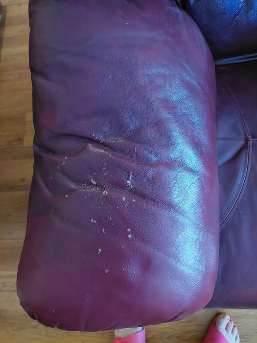 Sofa/kanapa skórzana + 2 fotele