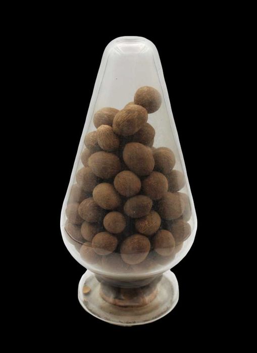 Antiquíssimo Frasco de Farmácia