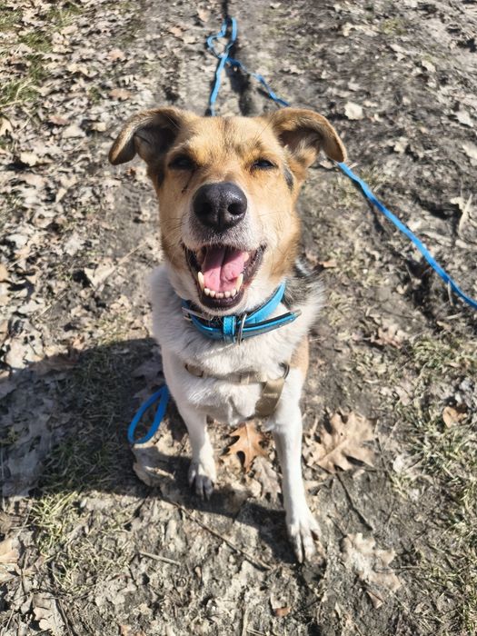 niewidzialny dla nikogo