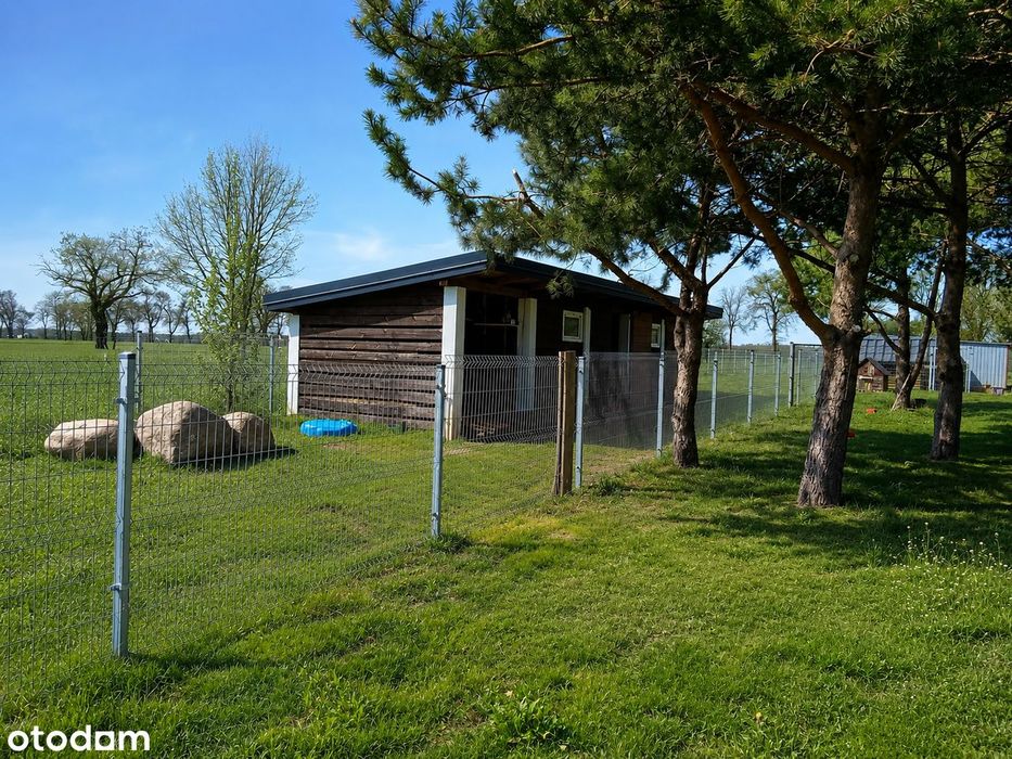 Komfortowy dom z 7069 m² działki i budynkiem gosp. | 8 km od Ostrołęki