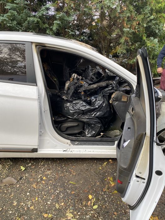 Hyundai ioniq electric