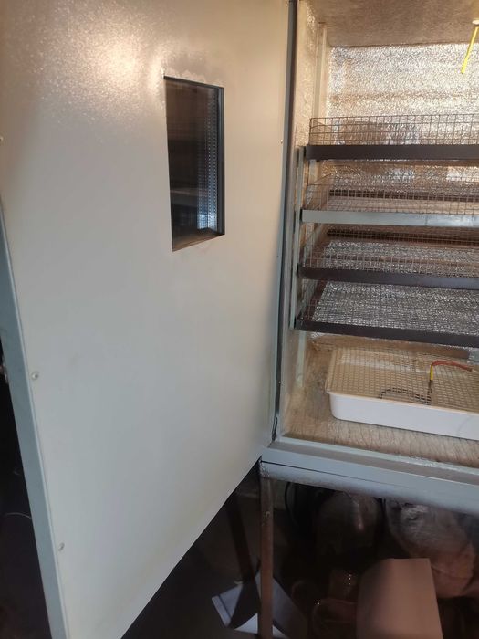 Инкубатор Best 500