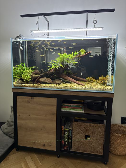Akwarrium 200 litrow - zestaw