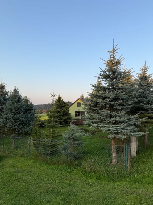 Dom Całoroczny Ogród! Góry ! Beskidy ,Widok !