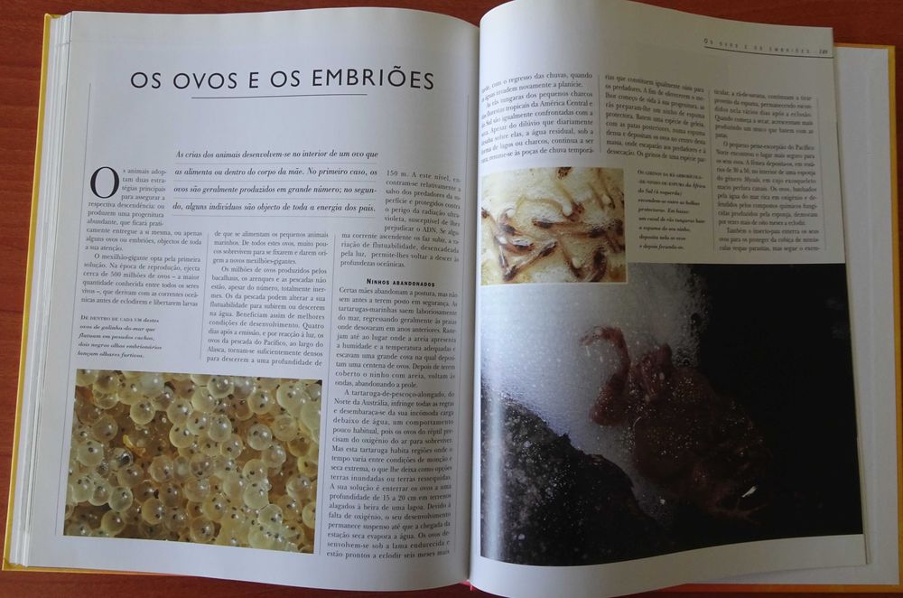 A Vida Secreta dos Animais