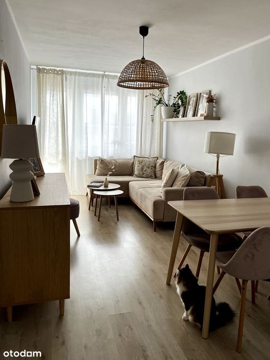 3-pokojowe mieszkanie po gruntownym remoncie 10 piętro panorama