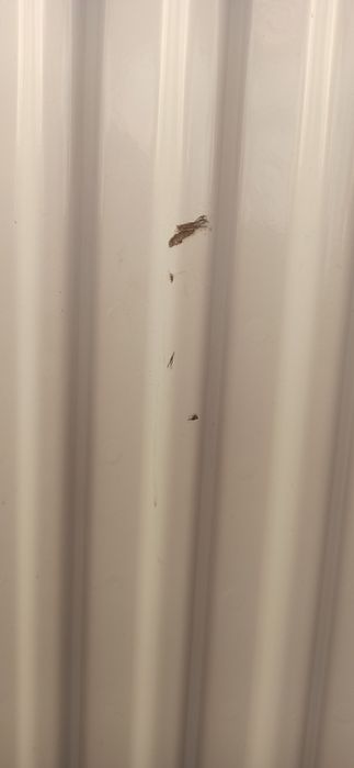 Радиатор стальной (батарея) Purmo 22тип 500*1400