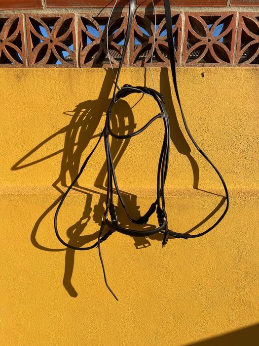Cabecada de bridao