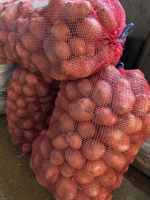 Vendo sacas batata vermelha de qualidade