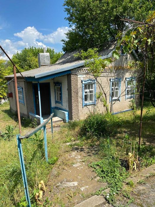 Велика родинна садиба 85,53 сотки, 2 будинки, сад, господарство