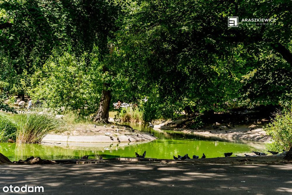 JASNE 2 pokoje | Park Wilsona | Idealne dla pary/inwestora | PARKING