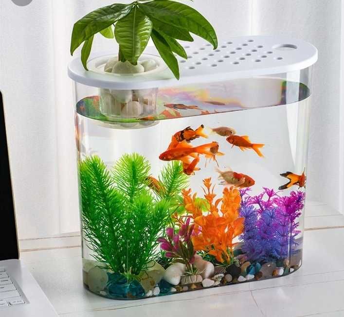 Чистка акваріумів всіх типів і розмірів