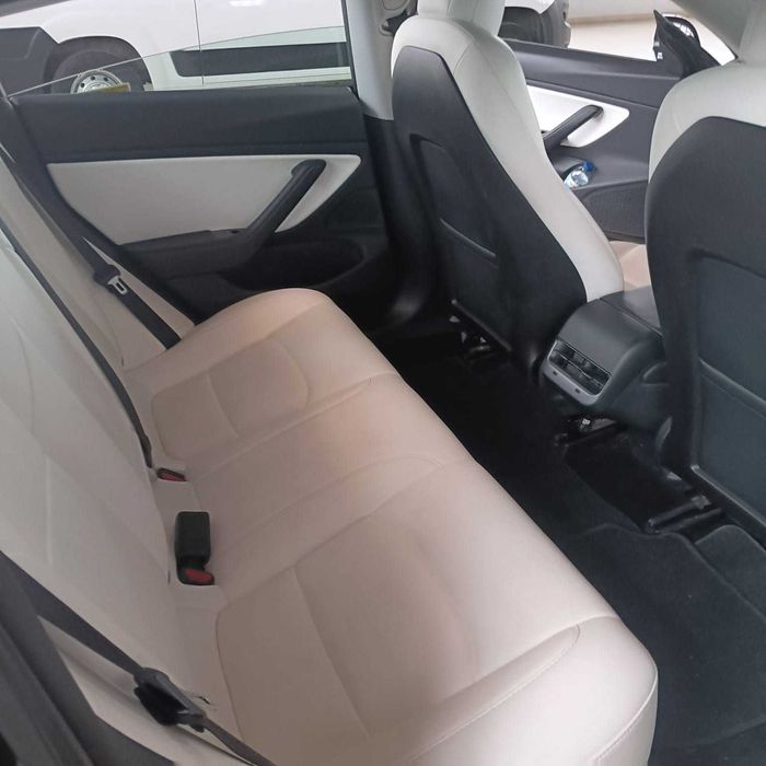 Táxi Tesla com alvará Lisboa