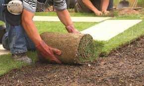 jardineiro, aplicador produtos fitofarmacêuticos