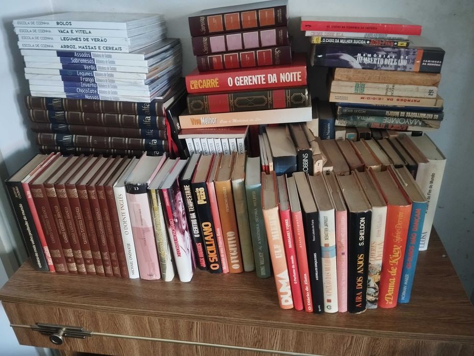 Biblioteca Particular – 420 Livros | Saramago, Eça, Eco, Kundera e Outros | 180€ Negociáveis