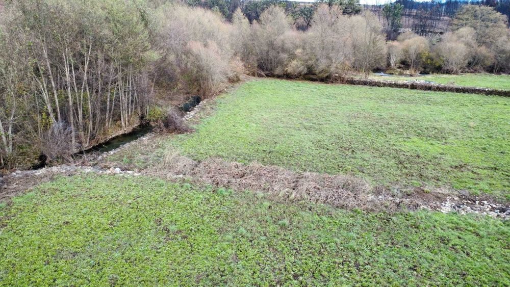 Terreno Rústico com Ribeiro