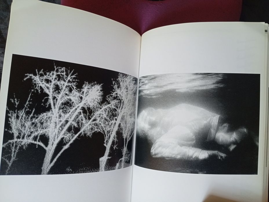 Bill Viola, Escritos de 1973 a 1994